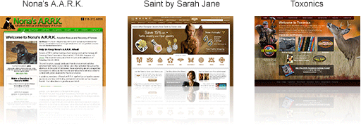 Web Design in Wichita Kansas by One Up Interactive